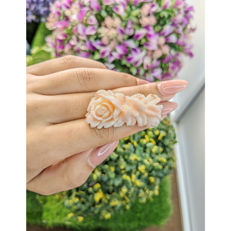 62.78 Ct. Coral from Australia