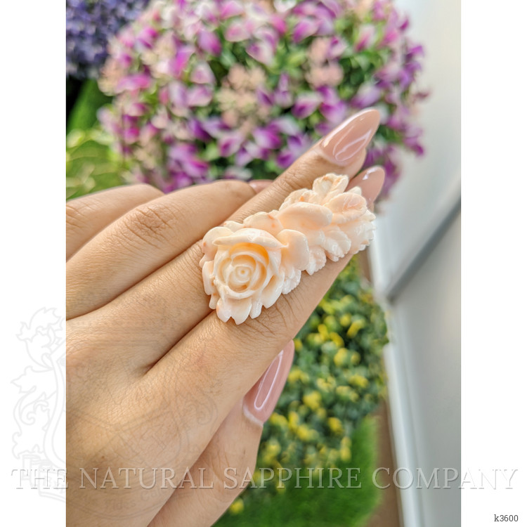 62.78 Ct. Coral from Australia