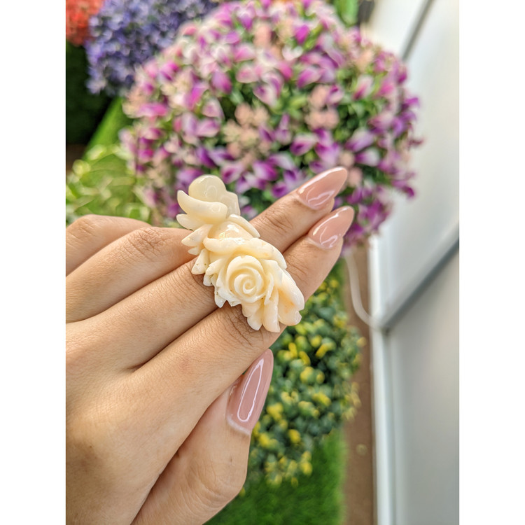 64.26 Ct. Coral from Australia