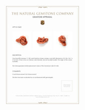 111.80 Ct. Coral from Australia Appraisal