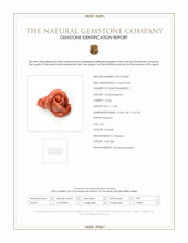 111.80 Ct. Coral from Australia Scan Report