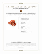111.80 Ct. Salmon (Orange) Coral from Australia Scan Report