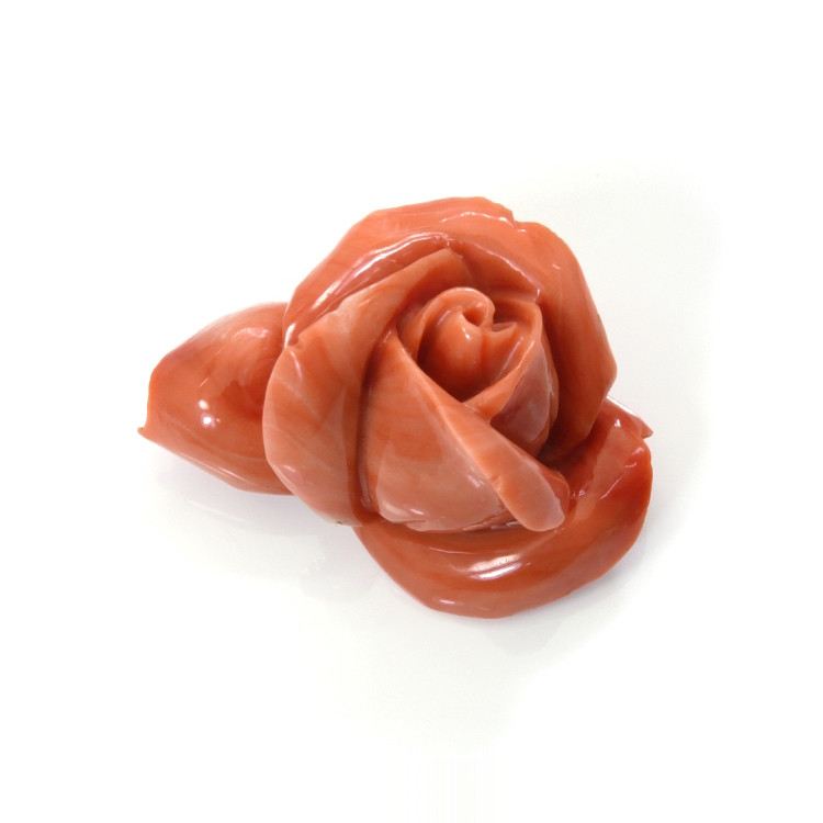 111.80 Ct. Coral from Australia