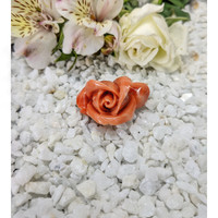 111.80 Ct. Coral from Australia Life Style