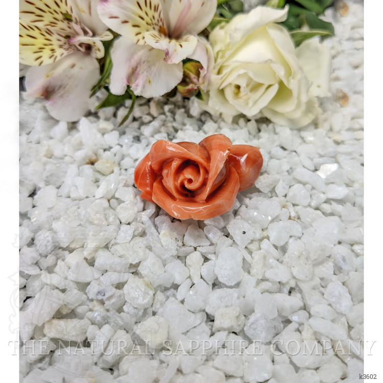 111.80 Ct. Coral from Australia