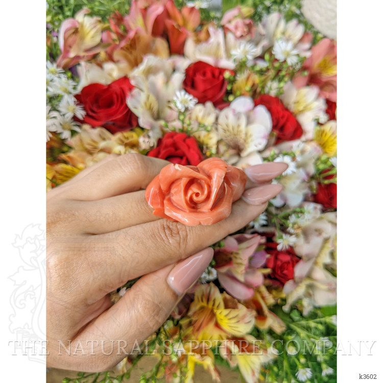 111.80 Ct. Coral from Australia