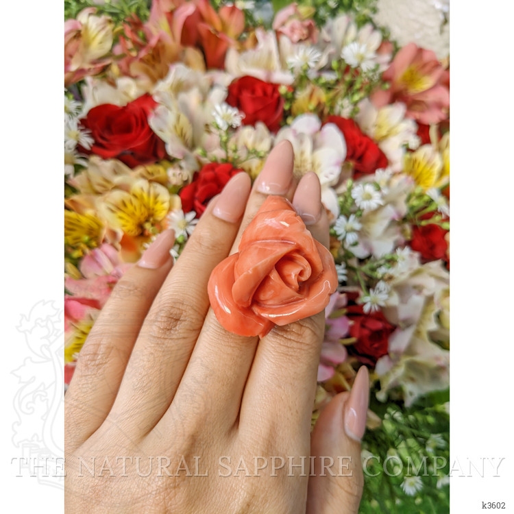 111.80 Ct. Coral from Australia