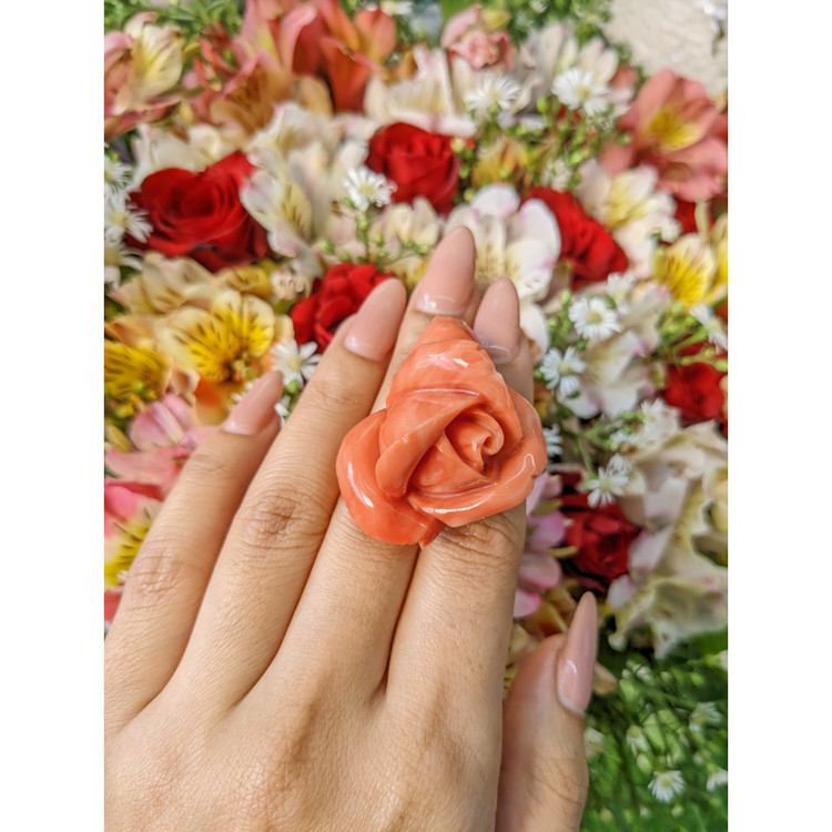 111.80 Ct. Coral from Australia