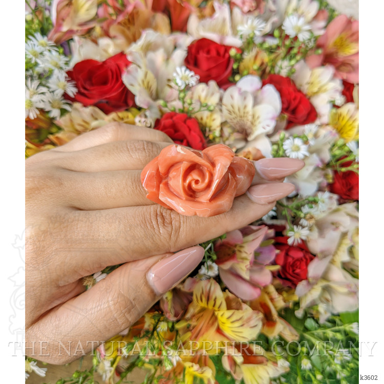 111.80 Ct. Coral from Australia