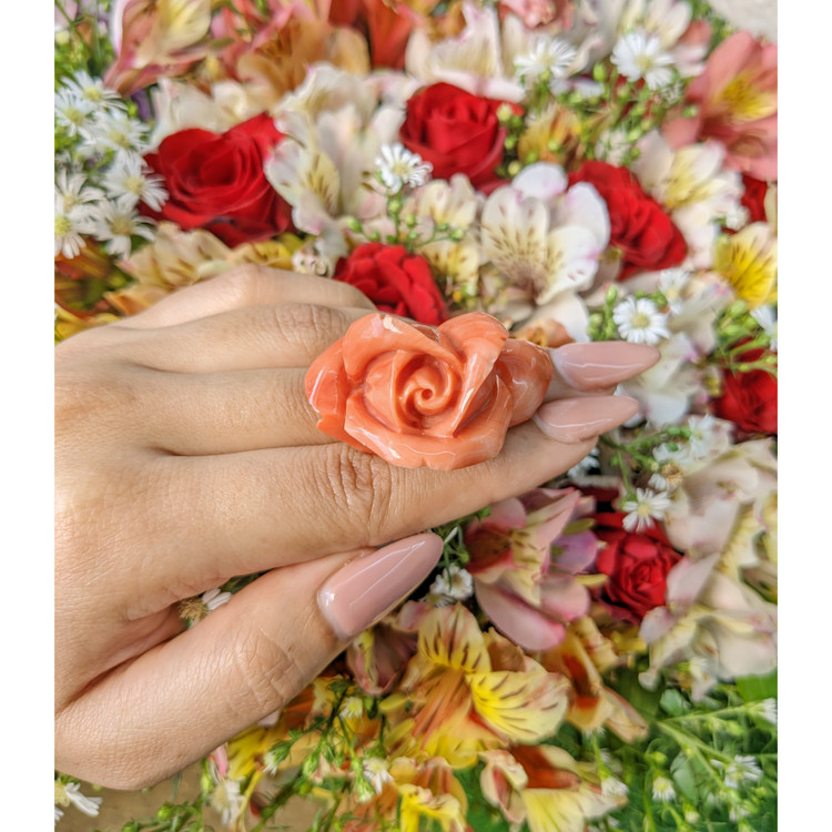 111.80 Ct. Coral from Australia