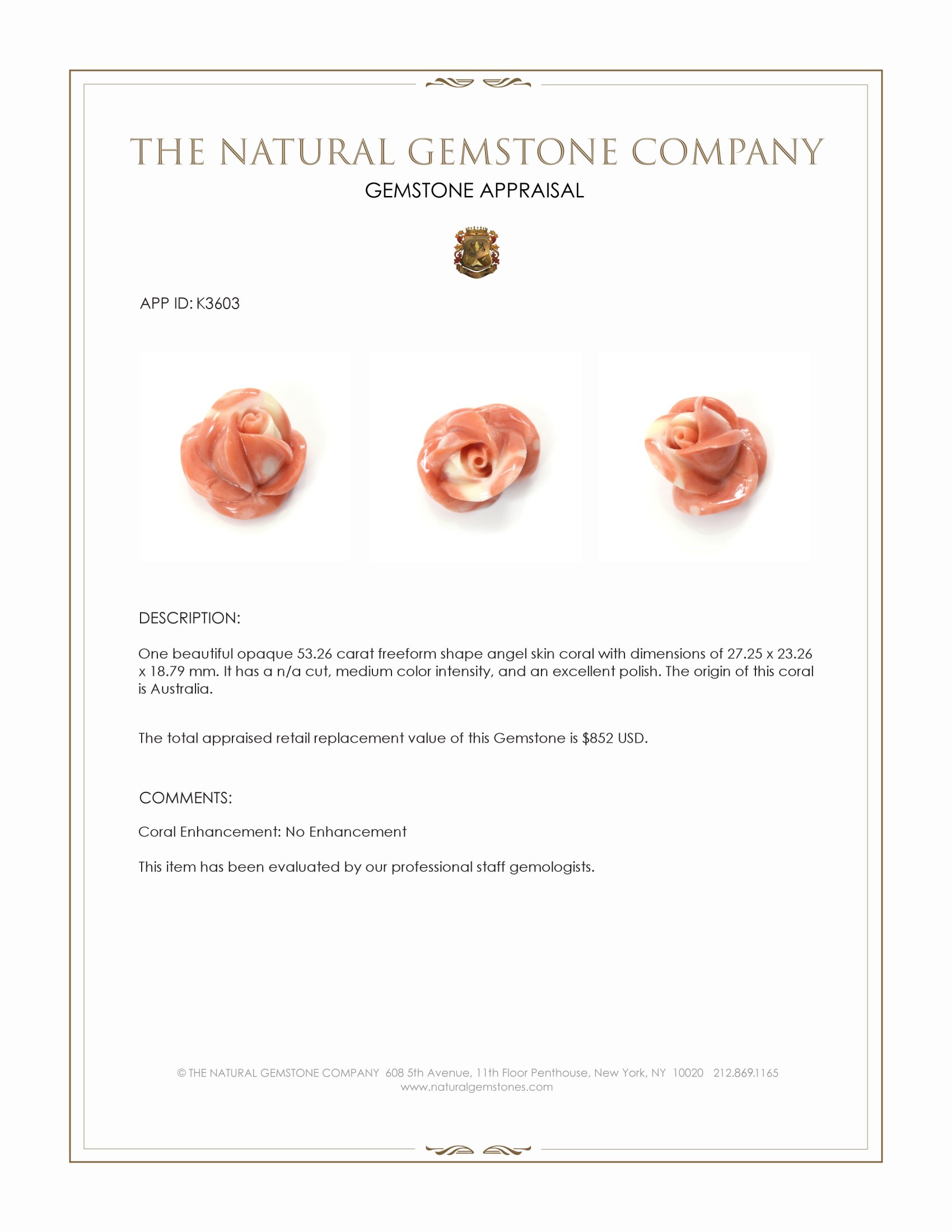 53.26 Ct. Angel Skin (Peach) Coral from Australia