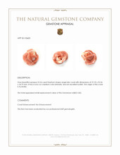53.26 Ct. Angel Skin (Peach) Coral from Australia Appraisal