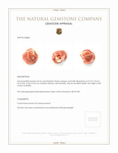 53.26 Ct. Coral from Australia Appraisal