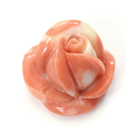 53.26 Ct. Coral from Australia Video