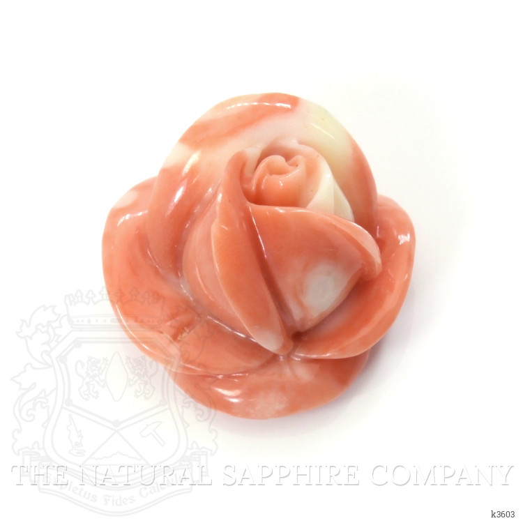 53.26 Ct. Coral from Australia