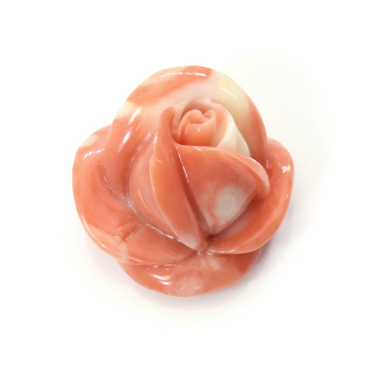 53.26 Ct. Coral from Australia