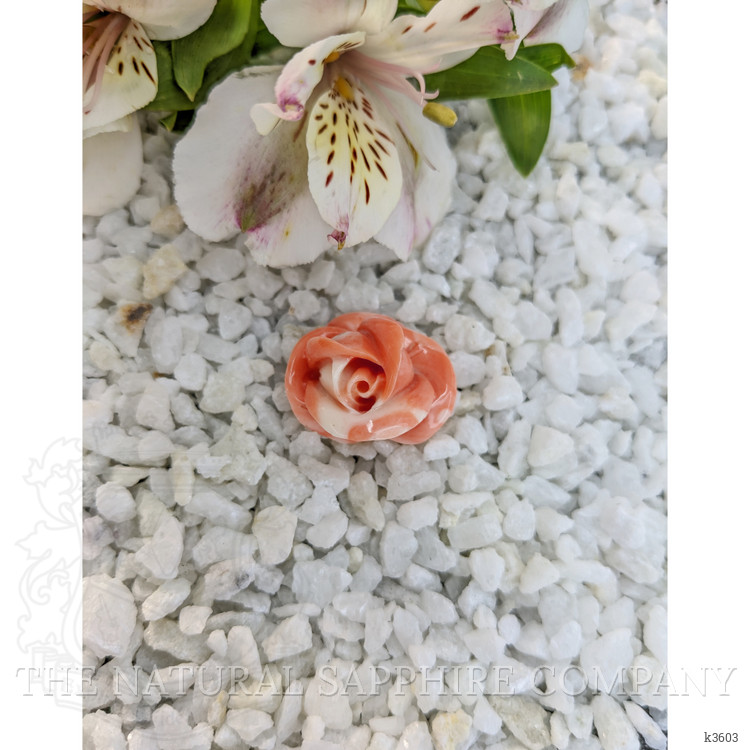 53.26 Ct. Coral from Australia