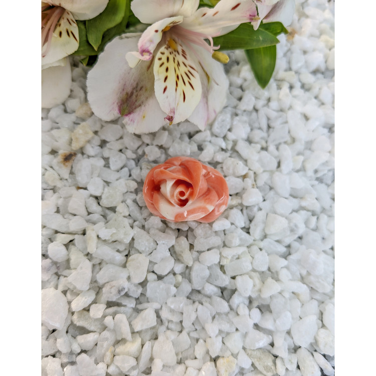 53.26 Ct. Coral from Australia