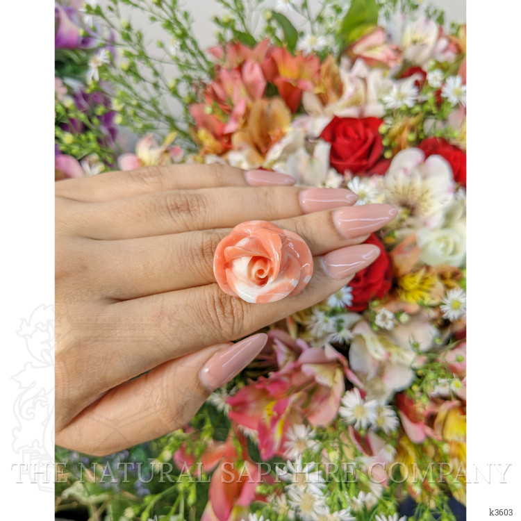 53.26 Ct. Coral from Australia