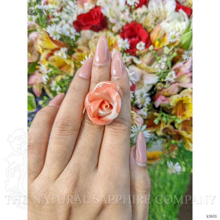 53.26 Ct. Coral from Australia