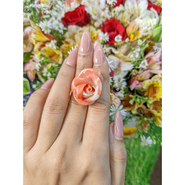 53.26 Ct. Coral from Australia