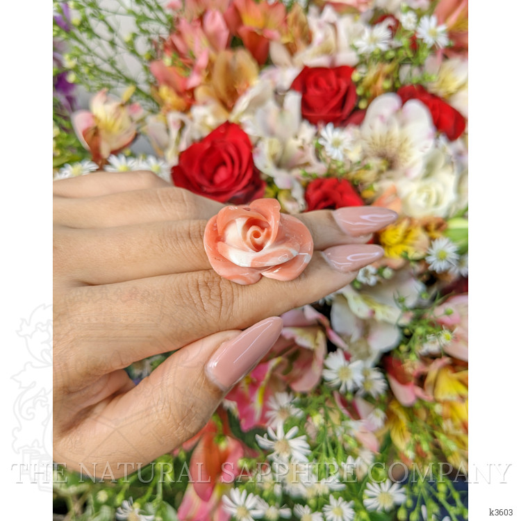 53.26 Ct. Coral from Australia