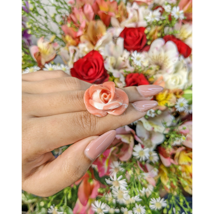 53.26 Ct. Coral from Australia