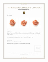 103.93 Ct. Coral from Australia Appraisal