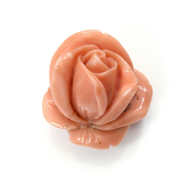 103.93 Ct. Coral from Australia