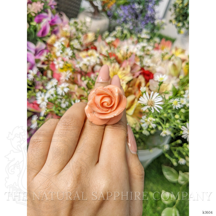 103.93 Ct. Coral from Australia