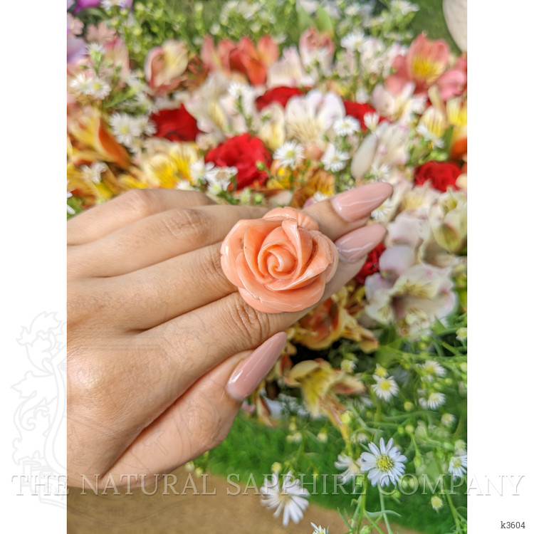 103.93 Ct. Coral from Australia