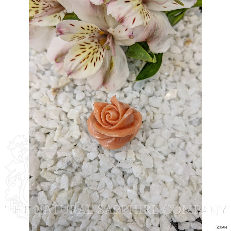 103.93 Ct. Coral from Australia