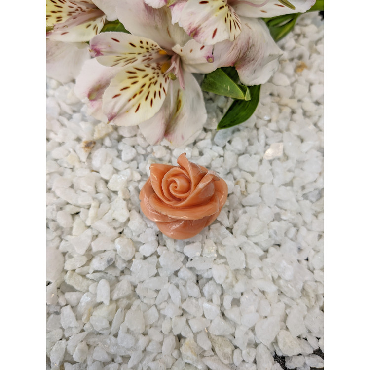 103.93 Ct. Coral from Australia