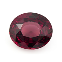13.73 Ct. Garnet from Ceylon (Sri Lanka) Video