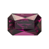 4.63 Ct. Garnet from Ceylon (Sri Lanka) Video