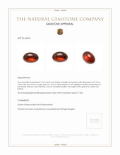 10.18 Ct. Cabochon Garnet from Ceylon (Sri Lanka) Appraisal