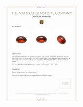 10.18 Ct. Cabochon Garnet from Ceylon (Sri Lanka) Appraisal