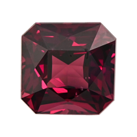 13.85 Ct. Garnet from Ceylon (Sri Lanka) Video