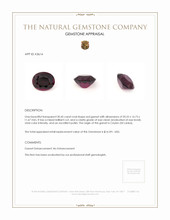 30.45 Ct. Garnet from Ceylon (Sri Lanka) Appraisal