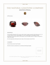 20.65 Ct. Garnet from Ceylon (Sri Lanka) Appraisal