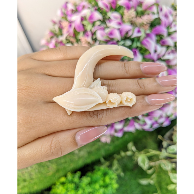 82.60 Ct. Coral from Italy