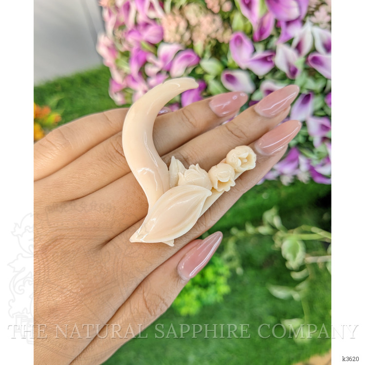 82.60 Ct. Coral from Italy