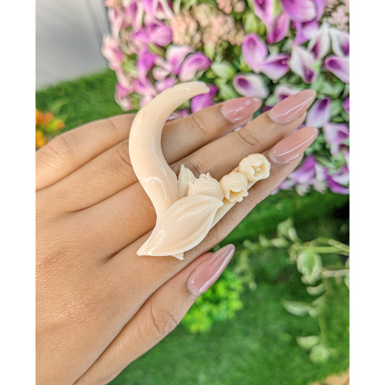 82.60 Ct. Coral from Italy