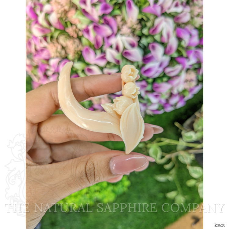 82.60 Ct. Coral from Italy