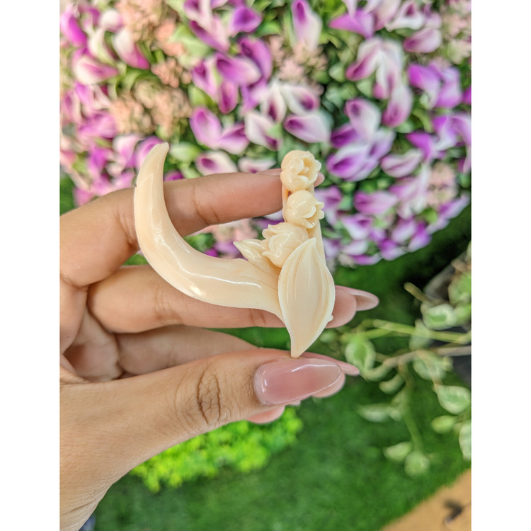 82.60 Ct. Coral from Italy