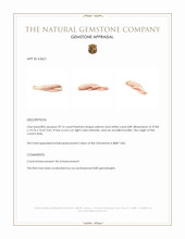 59.15 Ct. Coral from Italy Appraisal