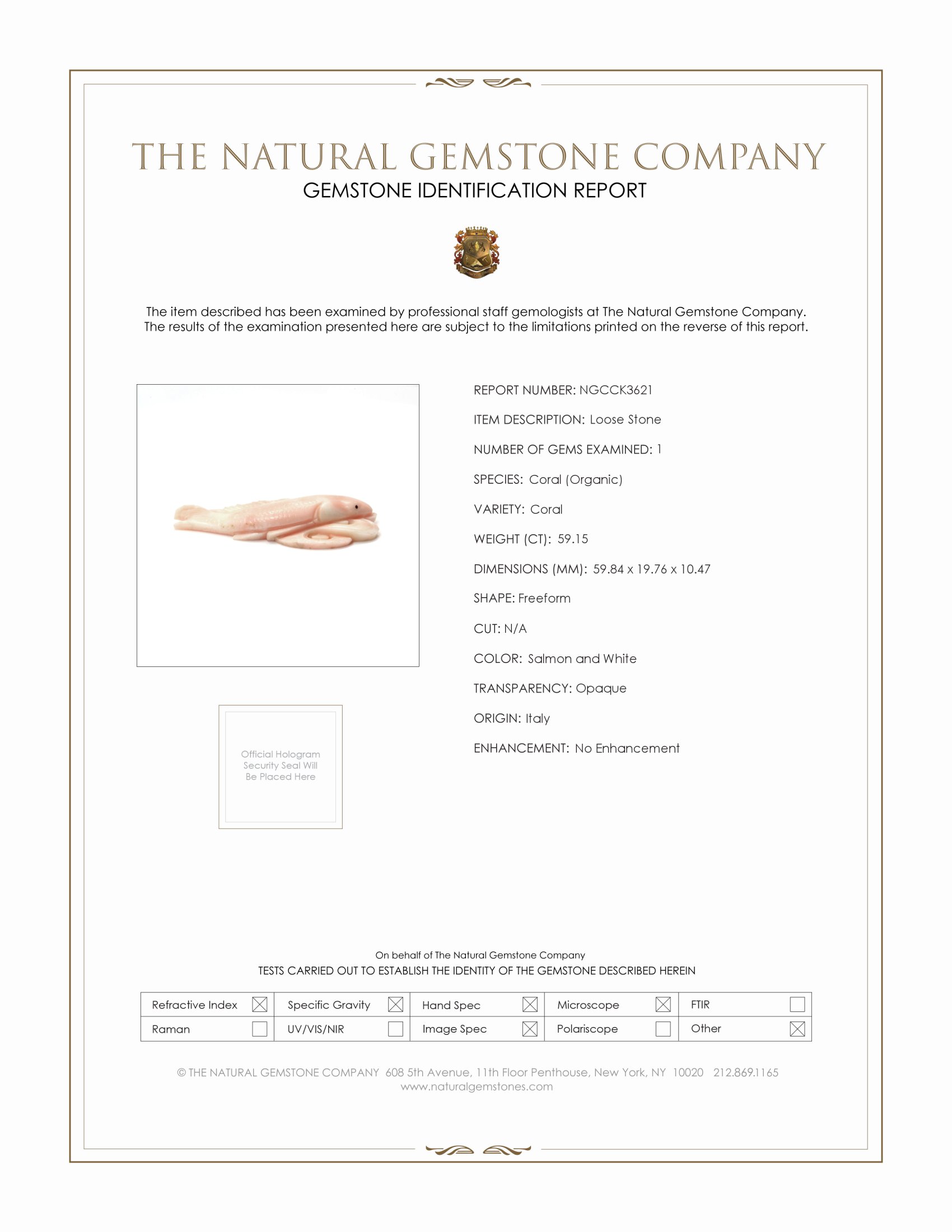 59.15 Ct. Coral from Italy