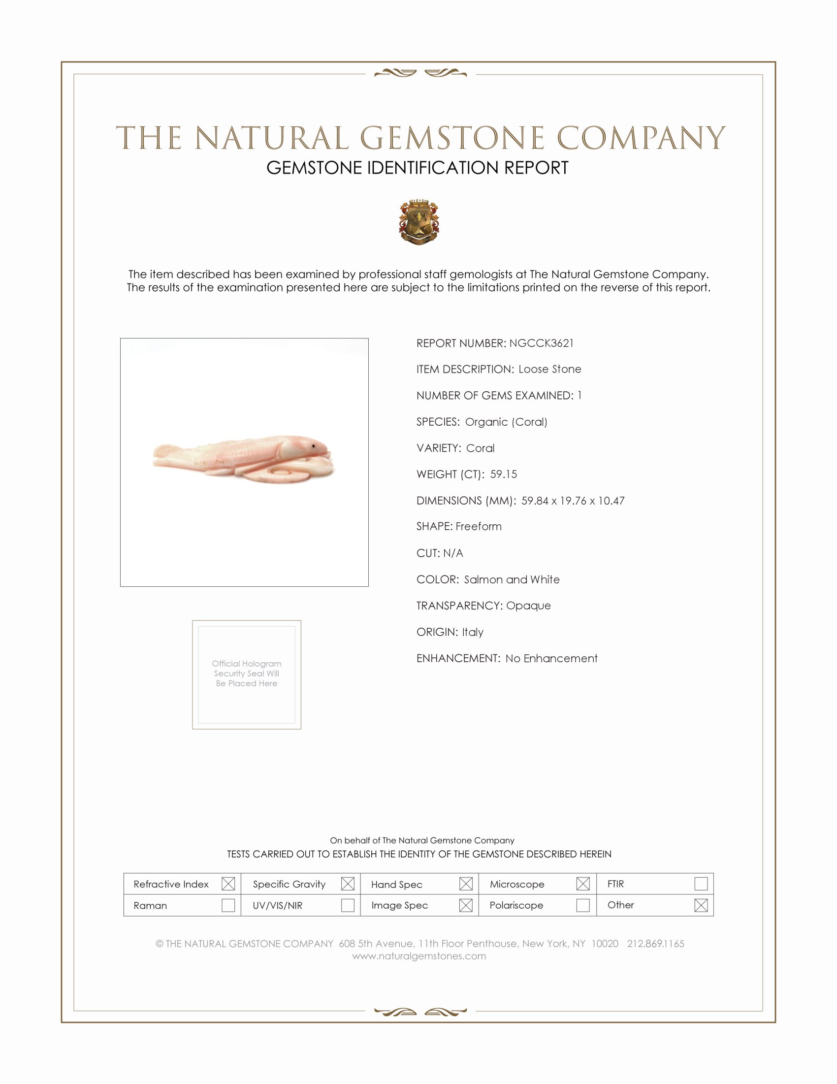 59.15 Ct. Coral from Italy