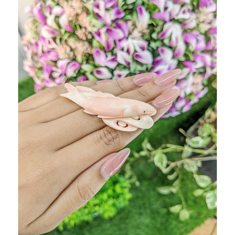 59.15 Ct. Coral from Italy