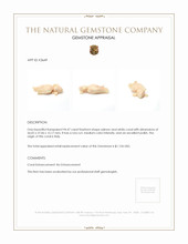 94.47 Ct. Coral from Italy Appraisal